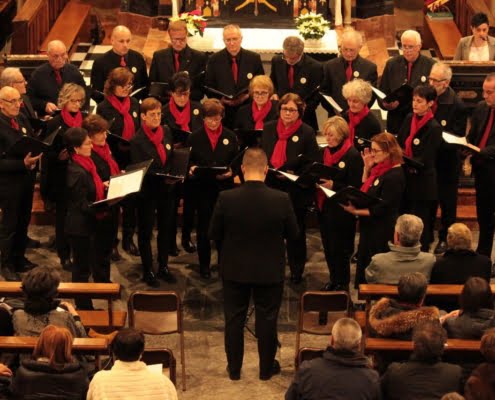 "St. Victor Choir of Mese (SO)